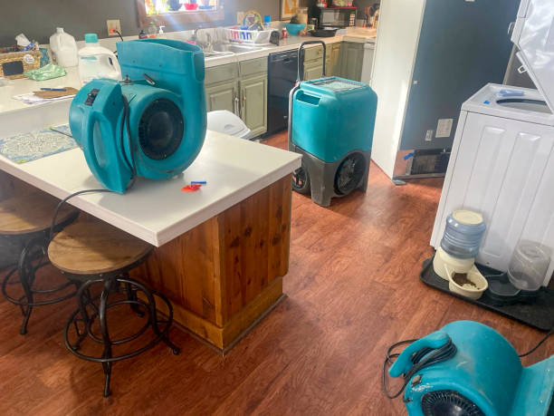 Best Water damage restoration process  in Lake Placid, NY