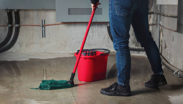 Best Carpet water damage restoration  in Lake Placid, NY